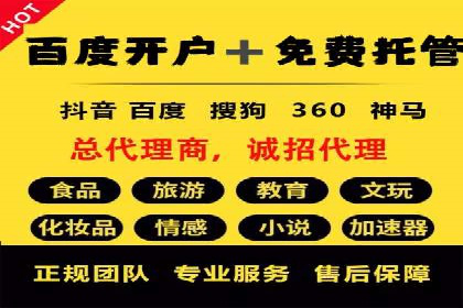 行业领先企业的SEM广告策略与效果分析
